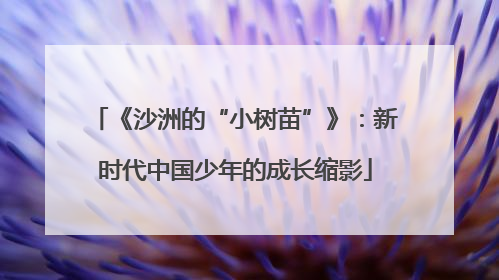 《沙洲的“小树苗”》：新时代中国少年的成长缩影