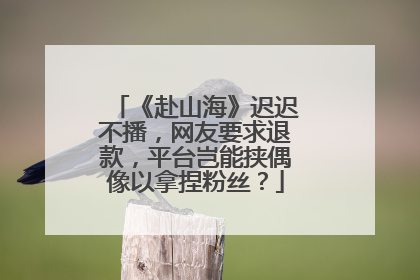 《赴山海》迟迟不播，网友要求退款，平台岂能挟偶像以拿捏粉丝？