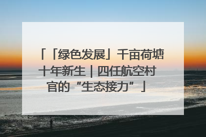 「绿色发展」千亩荷塘 十年新生｜四任航空村官的“生态接力”