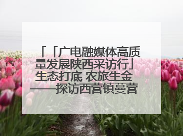 「广电融媒体高质量发展陕西采访行」生态打底 农旅生金——探访西营镇蔓营村省级旅游示范村的振兴密码