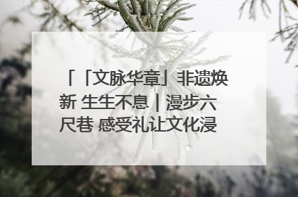 「文脉华章」非遗焕新 生生不息｜漫步六尺巷 感受礼让文化浸润的“巷”往生活