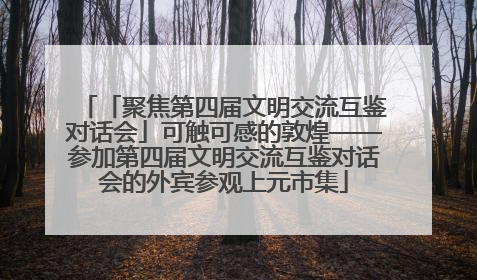 「聚焦第四届文明交流互鉴对话会」可触可感的敦煌——参加第四届文明交流互鉴对话会的外宾参观上元市集