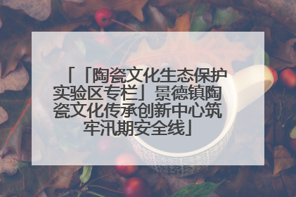 「陶瓷文化生态保护实验区专栏」景德镇陶瓷文化传承创新中心筑牢汛期安全线