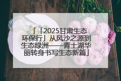 「2025甘肃生态环保行」从风沙之源到生态绿洲——青土湖华丽转身书写生态新篇