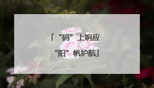 “码”上响应 “阳”帆护航