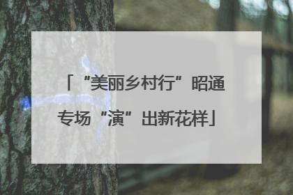“美丽乡村行”昭通专场“演”出新花样