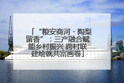 “粮安商河・陶梨留香”：三产融合赋能乡村振兴 跨村联建绘就共富画卷