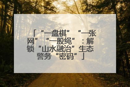 “一盘棋”“一张网”“一股绳”：解锁“山水融治”生态警务“密码”