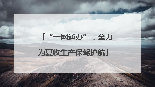 “一网通办”，全力为夏收生产保驾护航