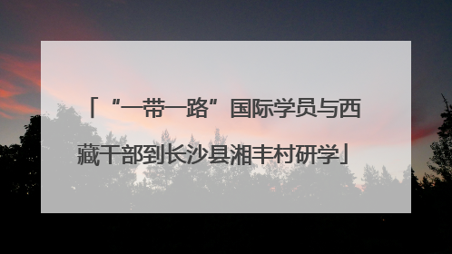 “一带一路”国际学员与西藏干部到长沙县湘丰村研学