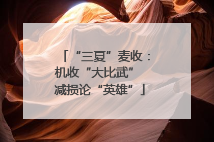 “三夏”麦收：机收“大比武” 减损论“英雄”