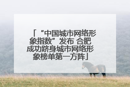 “中国城市网络形象指数”发布 合肥成功跻身城市网络形象榜单第一方阵