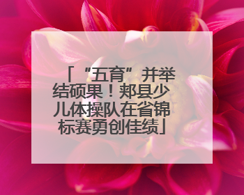 “五育”并举结硕果！郏县少儿体操队在省锦标赛勇创佳绩