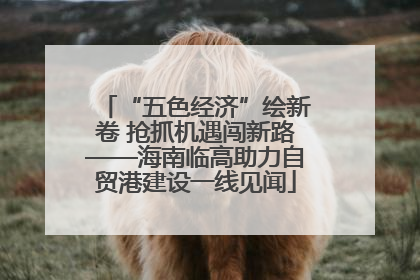 “五色经济”绘新卷 抢抓机遇闯新路——海南临高助力自贸港建设一线见闻