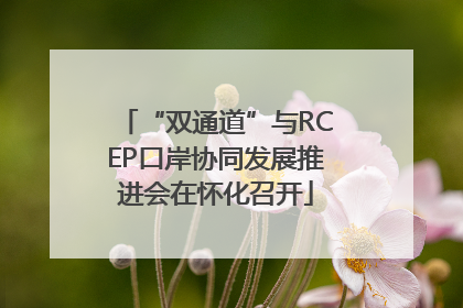 “双通道”与RCEP口岸协同发展推进会在怀化召开