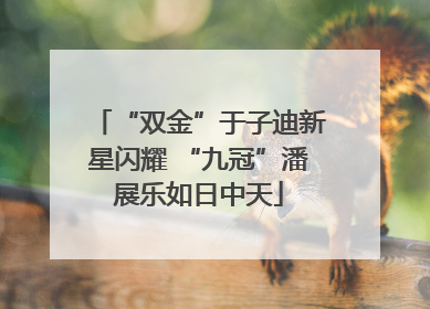 “双金”于子迪新星闪耀 “九冠”潘展乐如日中天