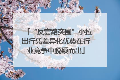 “反套路突围”小拉出行凭差异化优势在行业竞争中脱颖而出
