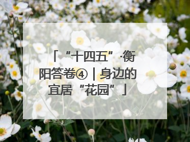 “十四五”·衡阳答卷④｜身边的宜居“花园”