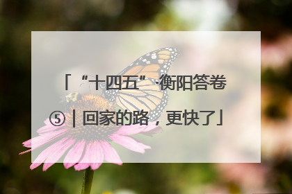 “十四五”·衡阳答卷⑤｜回家的路，更快了