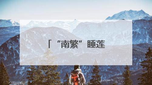 “南繁”睡莲竞相绽放 乡村振兴添色彩