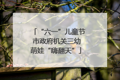 “六一”儿童节 市政府机关三幼萌娃“嗨翻天”