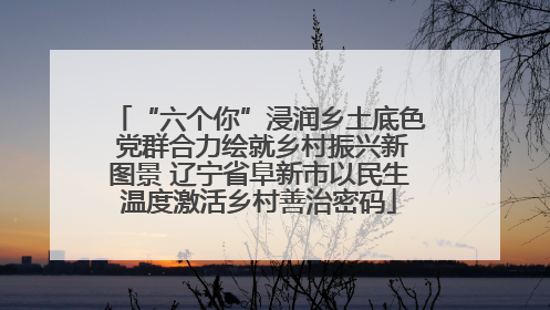 “六个你”浸润乡土底色 党群合力绘就乡村振兴新图景 辽宁省阜新市以民生温度激活乡村善治密码