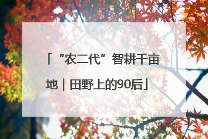 “农二代”智耕千亩地｜田野上的90后
