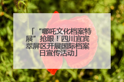“哪吒文化档案特展”抢眼！四川宜宾翠屏区开展国际档案日宣传活动
