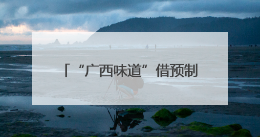 “广西味道”借预制菜走向更广阔市场