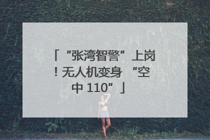 “张湾智警”上岗！无人机变身 “空中 110”