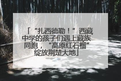 “扎西德勒！”西藏中学的孩子们遇上藏族同胞，“高原红石榴”绽放荆楚大地