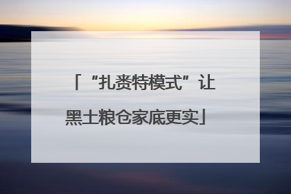 “扎赉特模式”让黑土粮仓家底更实