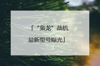 “枭龙”战机最新型号曝光