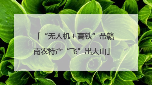 “无人机＋高铁”带赣南农特产“飞”出大山