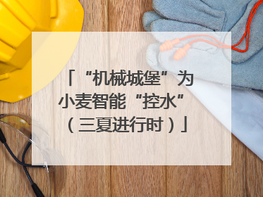 “机械城堡”为小麦智能“控水”（三夏进行时）