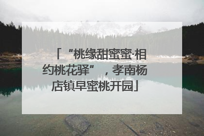 “桃缘甜蜜蜜·相约桃花驿”，孝南杨店镇早蜜桃开园