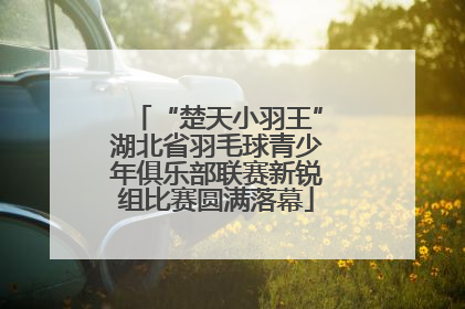 “楚天小羽王”湖北省羽毛球青少年俱乐部联赛新锐组比赛圆满落幕