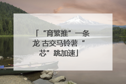 “育繁推”一条龙 古交马铃薯“芯”跳加速