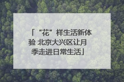“花”样生活新体验 北京大兴区让月季走进日常生活