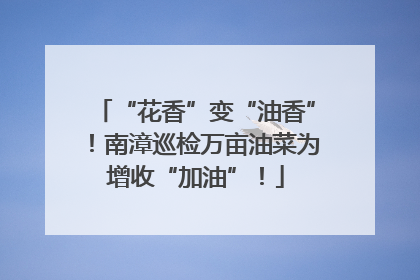 “花香”变“油香”！南漳巡检万亩油菜为增收“加油”！