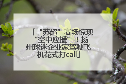 “苏超”赛场惊现 “空中应援”！扬州球迷企业家驾驶飞机花式打call