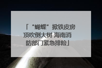 “蝴蝶”掀铁皮房顶吹倒大树 海南消防部门紧急排险