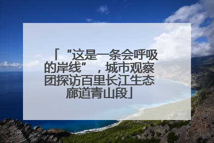 “这是一条会呼吸的岸线”，城市观察团探访百里长江生态廊道青山段