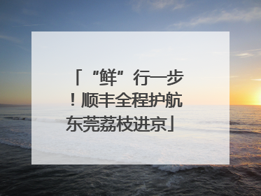 “鲜”行一步！顺丰全程护航东莞荔枝进京