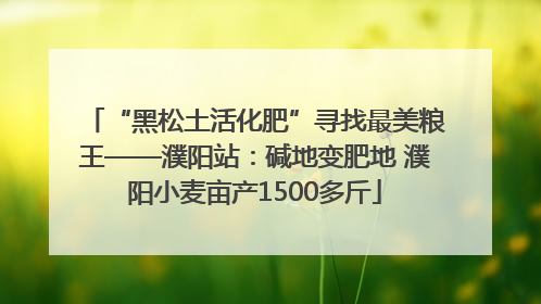 “黑松土活化肥”寻找最美粮王——濮阳站：碱地变肥地 濮阳小麦亩产1500多斤