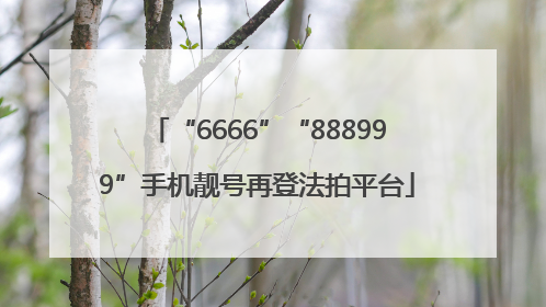 “6666”“888999”手机靓号再登法拍平台