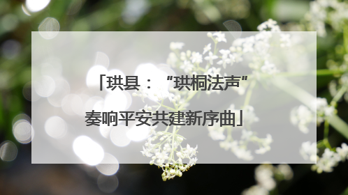 珙县：“珙桐法声”奏响平安共建新序曲