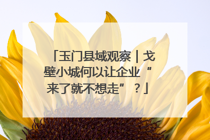 玉门县域观察｜戈壁小城何以让企业“来了就不想走”？
