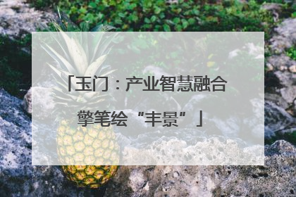 玉门：产业智慧融合 擎笔绘“丰景”