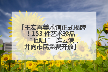 王宏喜美术馆正式揭牌！153 件艺术珍品 “ 回归 ” 连云港，并向市民免费开放